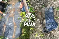 Ossada humana é encontrada em área de mata em Demerval Lobão