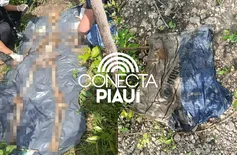 Ossada humana é encontrada em área de mata em Demerval Lobão