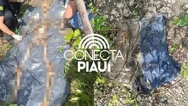 Ossada humana é encontrada em área de mata em Demerval Lobão (Foto: Conecta Piauí)