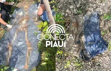 Ossada humana é encontrada em área de mata em Demerval Lobão