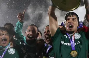 Palmeiras bate Novorizontino e leva 27º título do Paulistão (Foto: Cesar Greco)