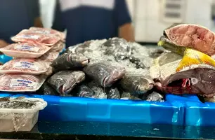 Peixes (Foto: Pedro Melo/Conecta Piauí)