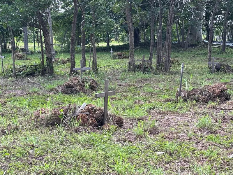 Piauí celebra 203 anos da Batalha do Jenipapo com programação cívica