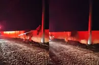 Polícia é acionada por suposto achado de cadáver mas encontra cachorro morto no PI