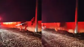 Polícia é acionada por suposto achado de cadáver mas encontra cachorro morto no PI (Foto: Reprodução)