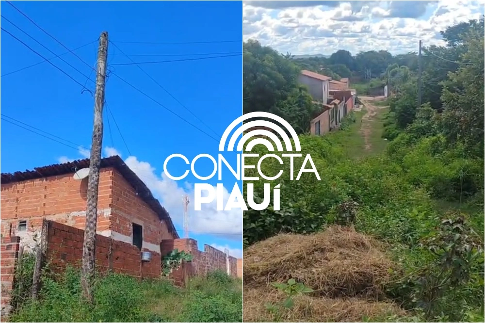 Poste de carnaúba e muito mato: região de Teresina está há 30 anos abandonada