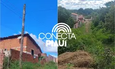 Poste de carnaúba e muito mato: região de Teresina está há 30 anos abandonada