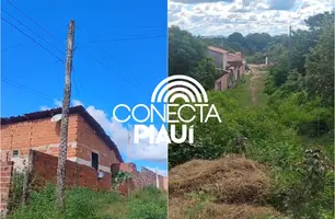 Poste de carnaúba e muito mato: região de Teresina está há 30 anos abandonada (Foto: Reprodução)