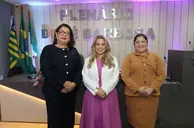 Procuradoria da Mulher é inaugurada na Câmara de Altos