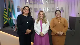 Procuradoria da Mulher é inaugurada na Câmara de Altos (Foto: Reprodução)