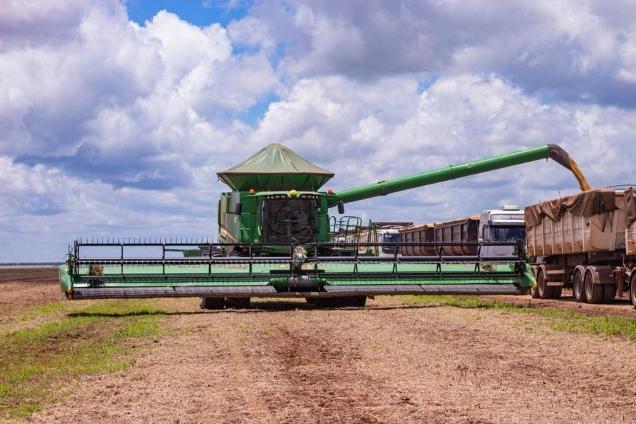 Produção do Grupo Insolo cresce e fortalece agronegócio no Piauí