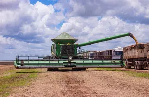 Produção do Grupo Insolo cresce e fortalece agronegócio no Piauí (Foto: Reprodução)