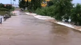 Riacho São Lourenço volta a correr após chuva e anima moradores no PI (Foto: Conecta Piauí)