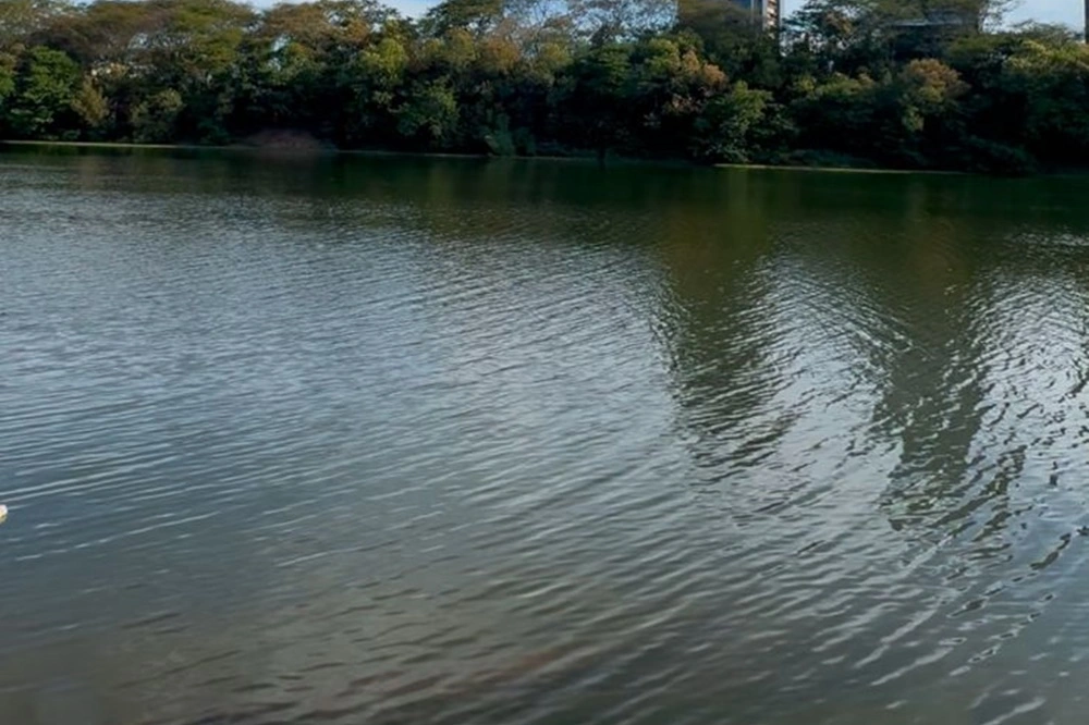 Rio Parnaíba