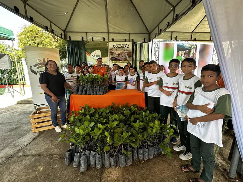 SAF e Centro Cocais lançam prêmio Inova Cocais em São João do Arraial