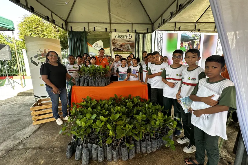 SAF e Centro Cocais lançam prêmio Inova Cocais em São João do Arraial