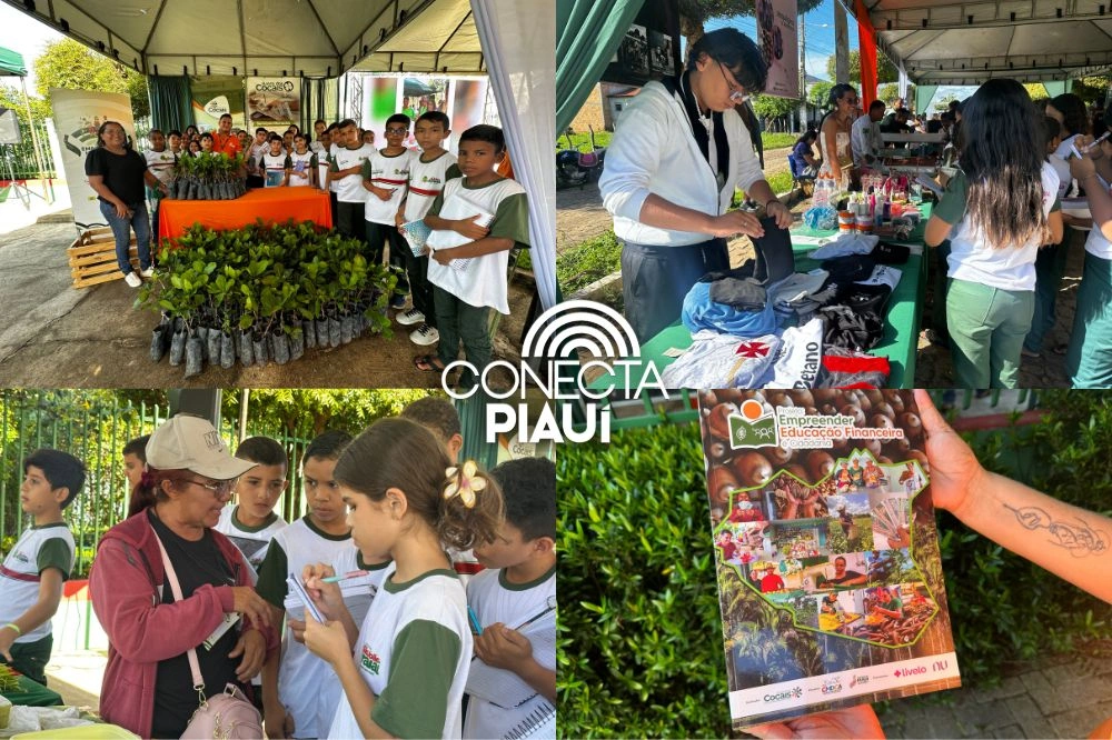 SAF e Centro Cocais lançam prêmio Inova Cocais em São João do Arraial