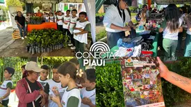 SAF e Centro Cocais lançam prêmio Inova Cocais em São João do Arraial (Foto: Conecta Piauí)