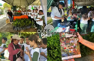 SAF e Centro Cocais lançam prêmio Inova Cocais em São João do Arraial (Foto: Conecta Piauí)