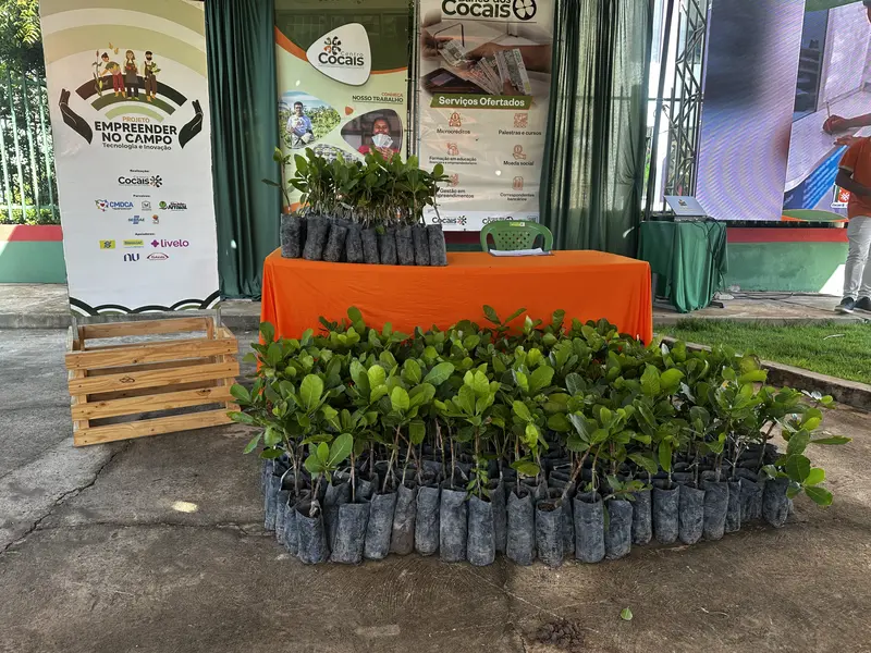 SAF e Centro Cocais lançam prêmio Inova Cocais em São João do Arraial