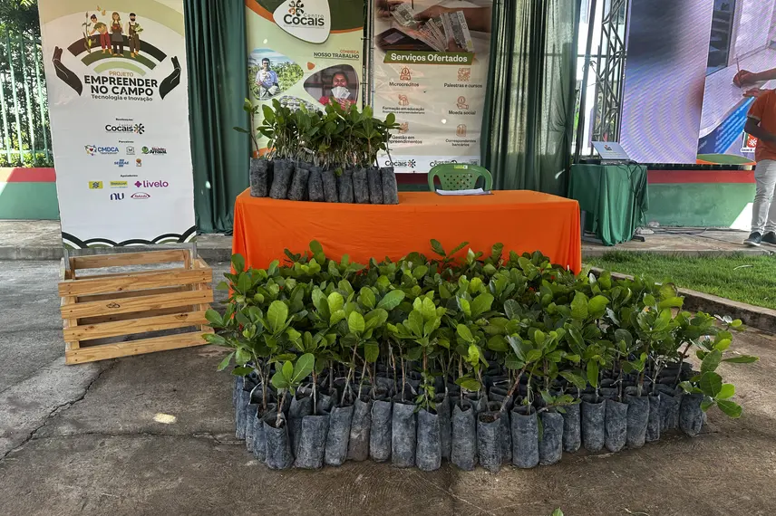 SAF e Centro Cocais lançam prêmio Inova Cocais em São João do Arraial