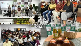 SAF lança edital de R$ 33 milhões para agricultura familiar no Piauí (Foto: Conecta Piauí)
