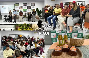 SAF lança edital de R$ 33 milhões para agricultura familiar no Piauí (Foto: Conecta Piauí)