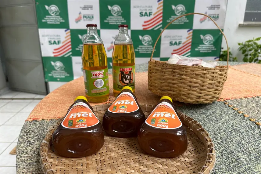 SAF lança edital de R$ 33 milhões para agricultura familiar no Piauí