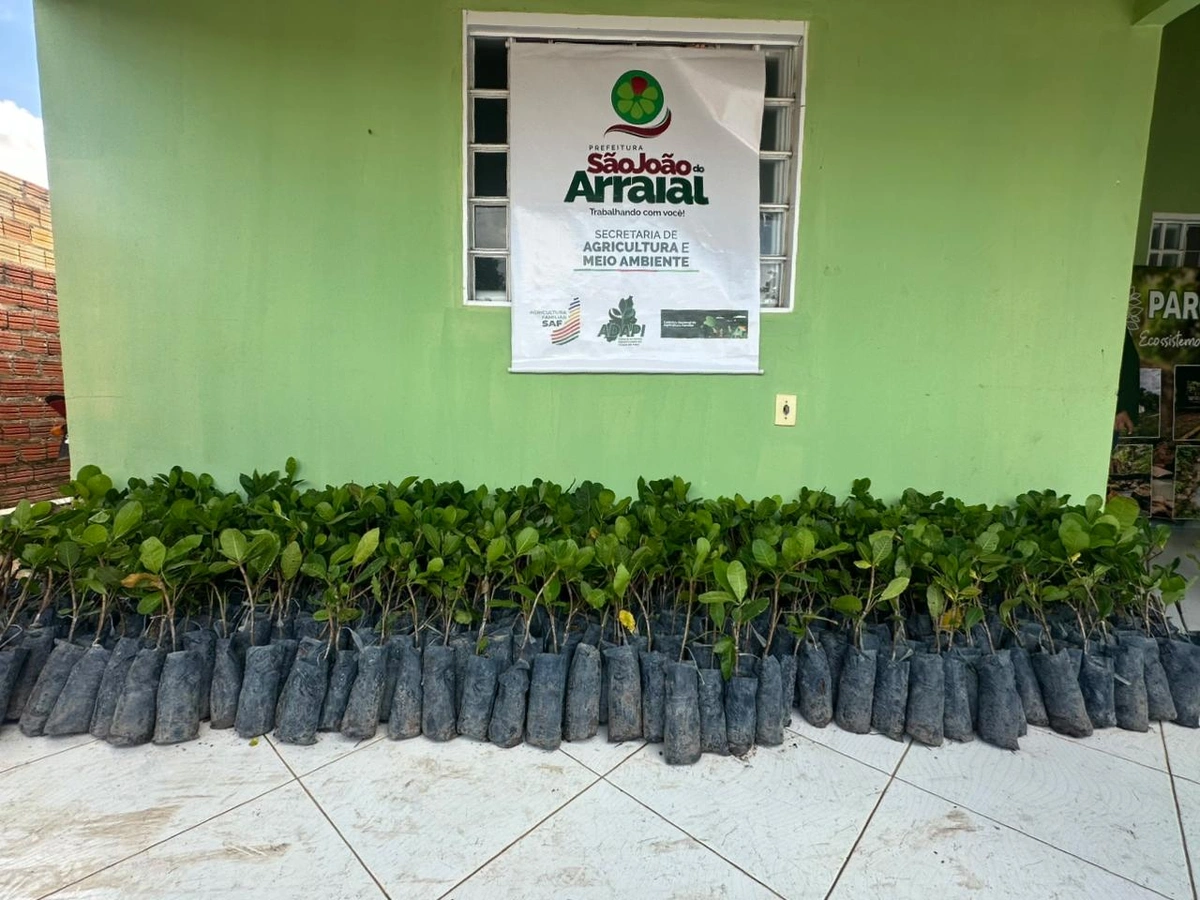 São João do Arraial entrega 1.200 mudas de caju a produtores rurais