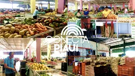 Semana Santa aquece vendas na Nova Ceasa com produtos até 50% mais baratos (Foto: Maria Júlia Reis / Conecta Piauí)