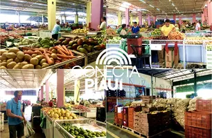 Semana Santa aquece vendas na Nova Ceasa com produtos até 50% mais baratos (Foto: Maria Júlia Reis / Conecta Piauí)