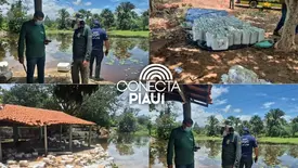 Semarh alerta para risco de contaminação após carreta tombar em Bertolínia (Foto: Reprodução)