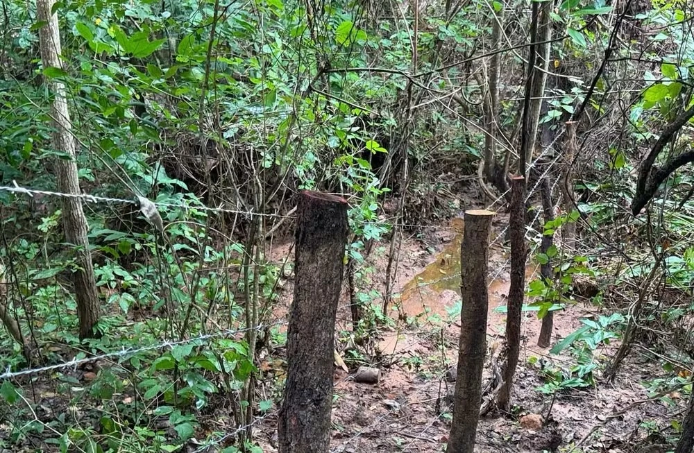 Semarh recupera cinco nascentes em Ribeiro Gonçalves e reforça segurança hídrica no Cerrado