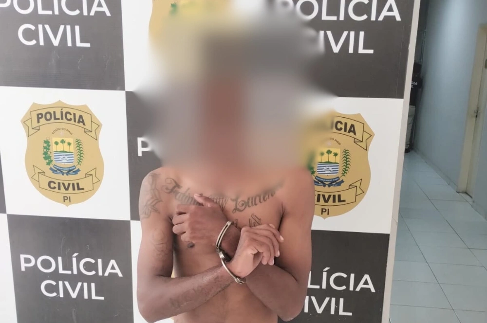 Suspeito de série de furtos a estabelecimentos comerciais é preso em Floriano