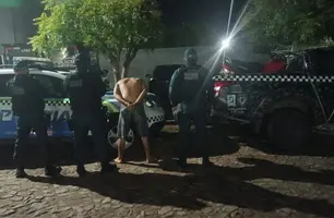 Suspeito de tráfico é preso com cocaína, maconha e moto roubada em Brasileira (Foto: Divulgação/PMPI)