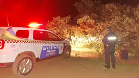 Suspeitos fogem após tentativa de furto de gado em Bom Princípio do Piauí (Foto: Reprodução)