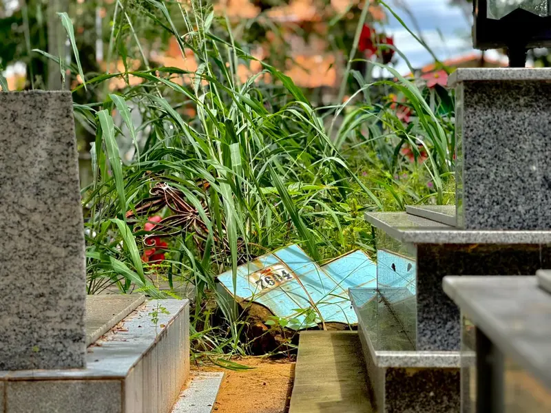 Abandono revolta famílias em cemitério de Teresina e túmulos somem no mato