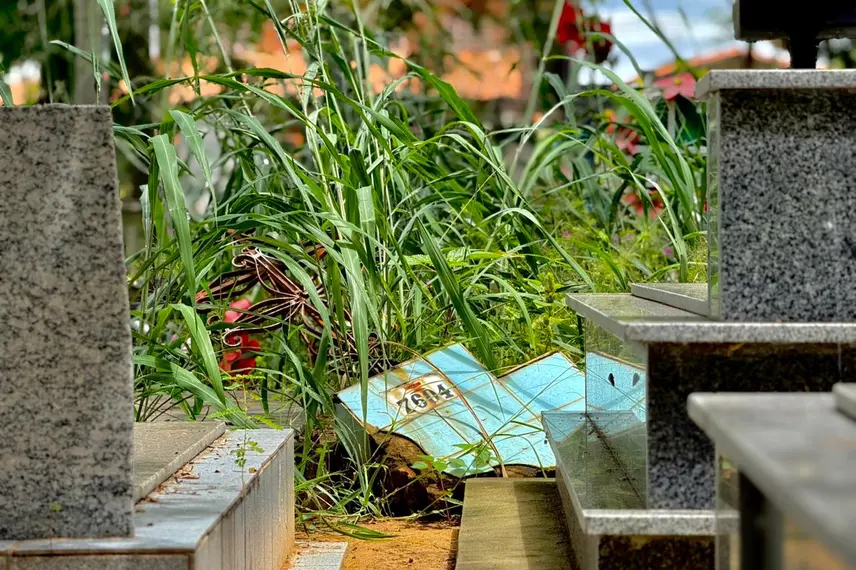 Abandono revolta famílias em cemitério de Teresina e túmulos somem no mato