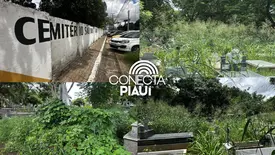 Abandono revolta famílias em cemitério de Teresina e túmulos somem no mato (Foto: Conecta Piauí)