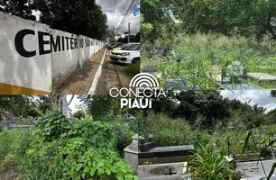 Abandono revolta famílias em cemitério de Teresina e túmulos somem no mato (Foto: Conecta Piauí)
