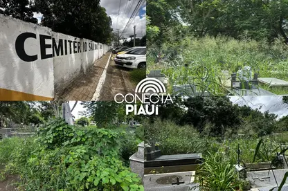 Abandono revolta famílias em cemitério de Teresina e túmulos somem no mato