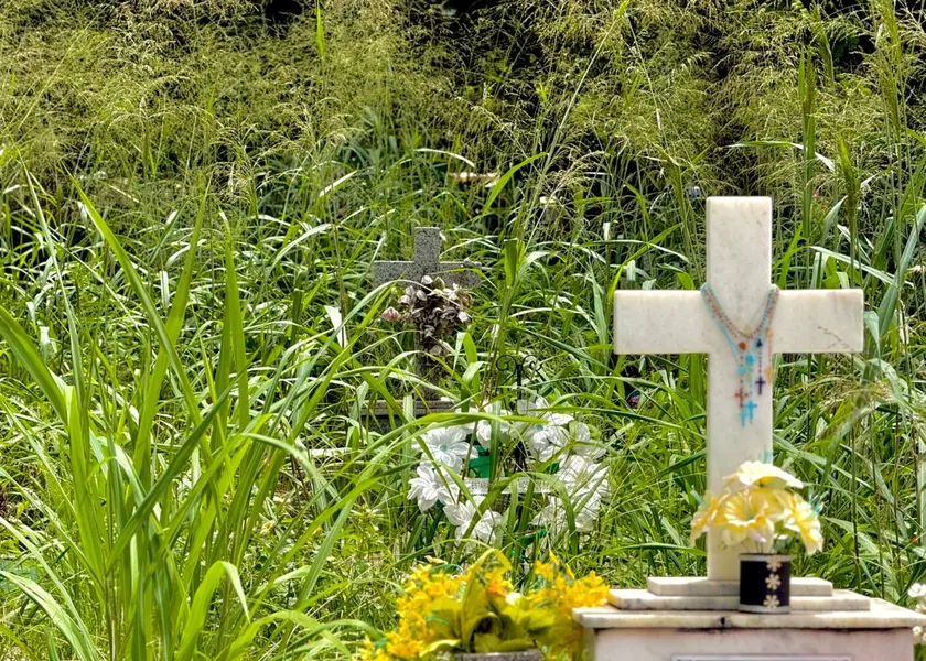 Abandono revolta famílias em cemitério de Teresina e túmulos somem no mato