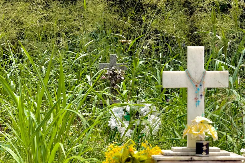 Abandono revolta famílias em cemitério de Teresina e túmulos somem no mato