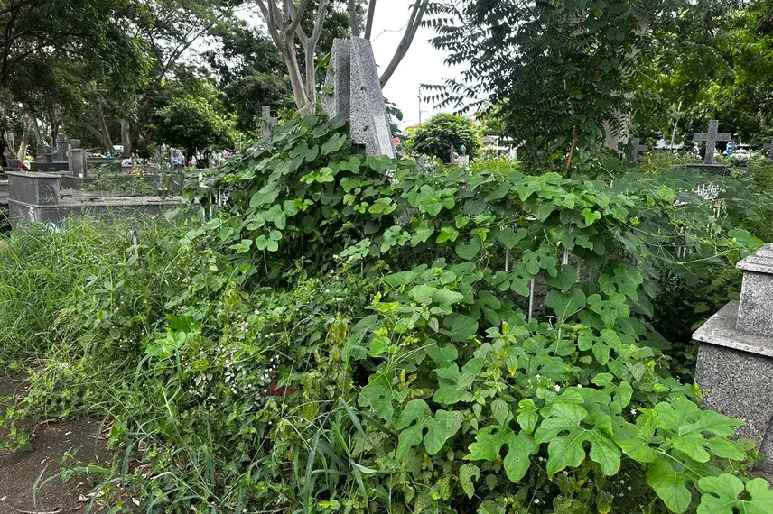 Abandono revolta famílias em cemitério de Teresina e túmulos somem no mato