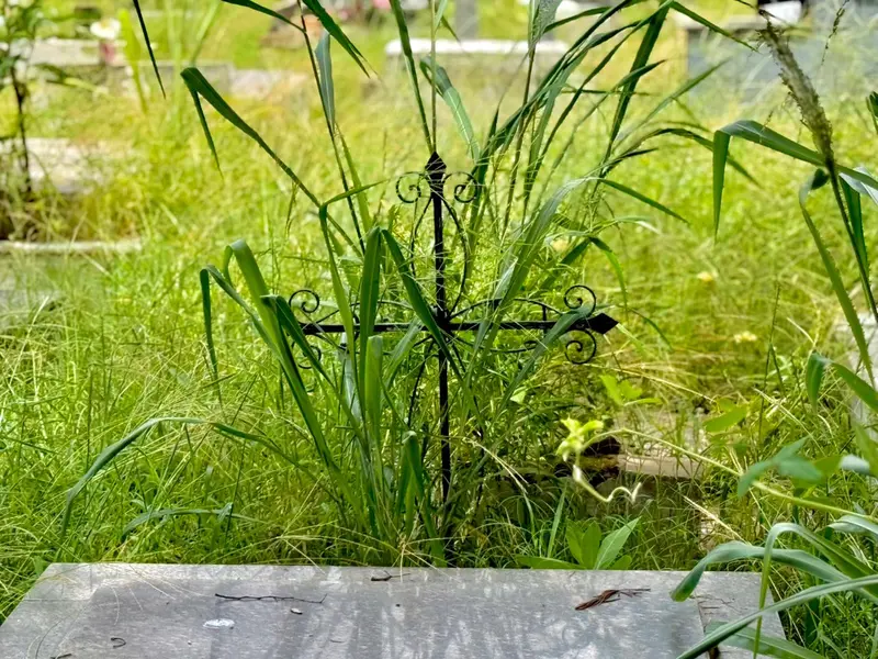 Abandono revolta famílias em cemitério de Teresina e túmulos somem no mato