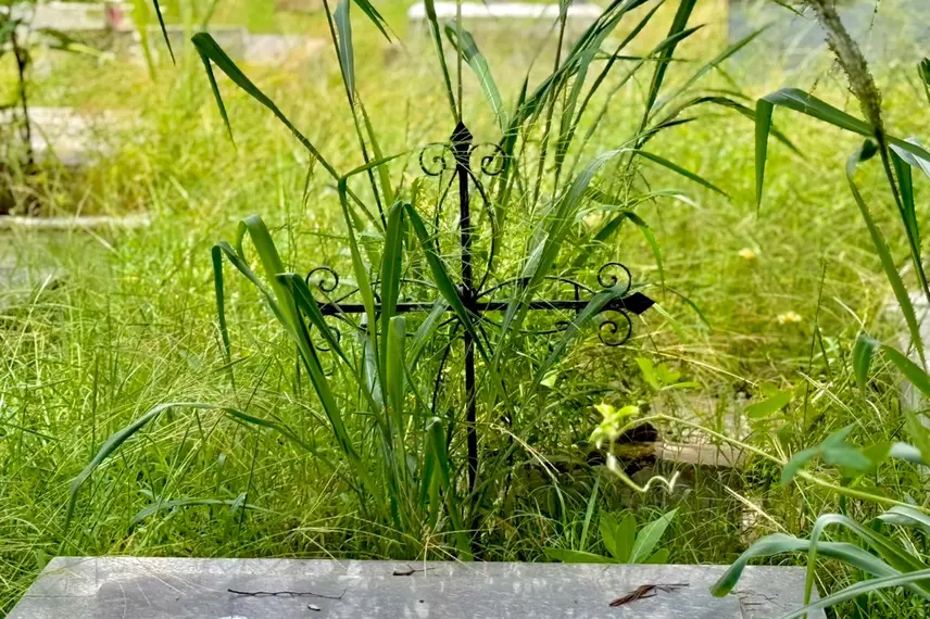 Abandono revolta famílias em cemitério de Teresina e túmulos somem no mato