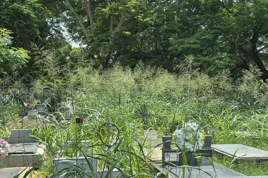 Abandono revolta famílias em cemitério de Teresina e túmulos somem no mato