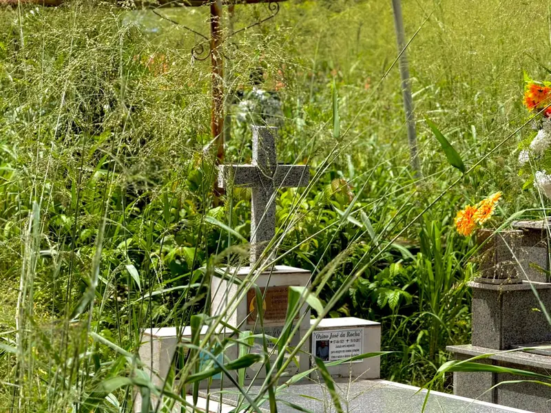 Abandono revolta famílias em cemitério de Teresina e túmulos somem no mato