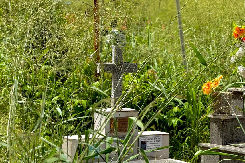 Abandono revolta famílias em cemitério de Teresina e túmulos somem no mato