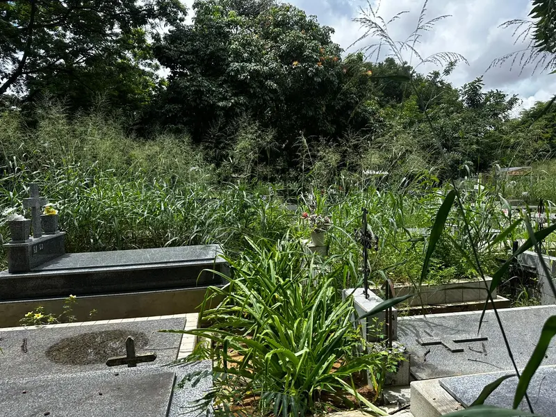 Abandono revolta famílias em cemitério de Teresina e túmulos somem no mato